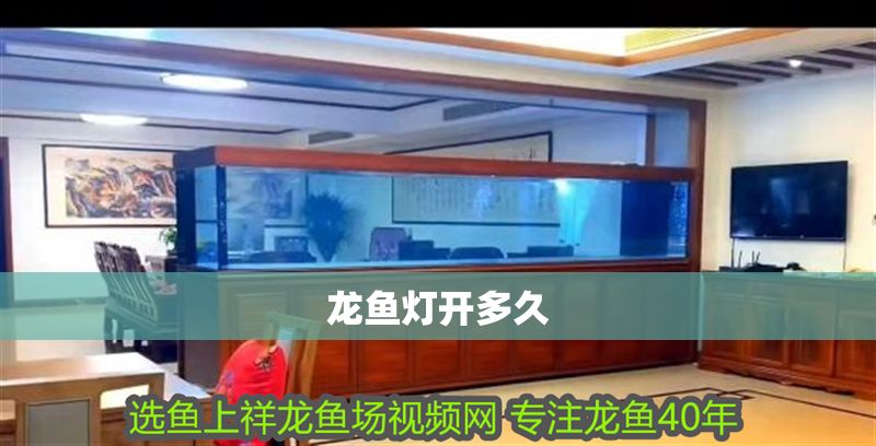 龍魚燈開多久 龍魚燈開多久 龍魚百科 第2張