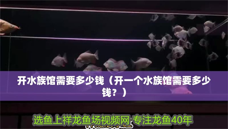 開水族館需要多少錢（開一個水族館需要多少錢？） 開水族館需要多少錢（開一個水族館需要多少錢？） 水族館百科（水族館加盟） 第1張