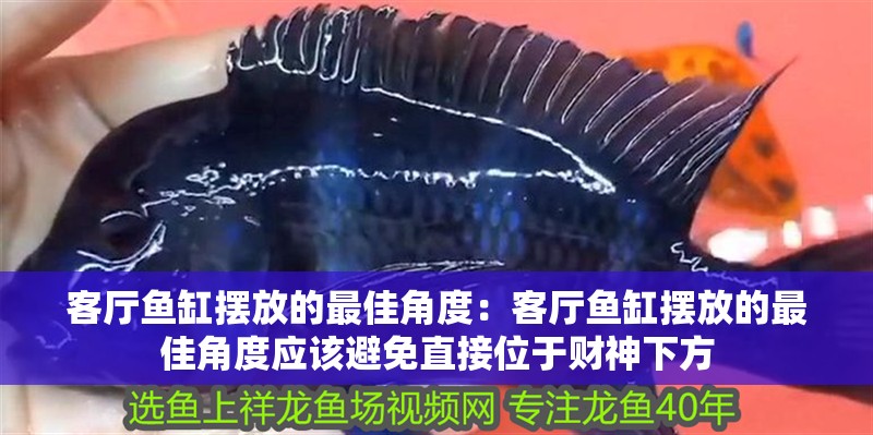 客廳魚缸擺放的最佳角度：客廳魚缸擺放的最佳角度應該避免直接位于財神下方 客廳魚缸擺放的最佳角度：客廳魚缸擺放的最佳角度應該避免直接位于財神下方 魚缸百科