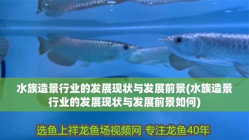 水族館排名一覽表最新（全球十大知名水族館排名）