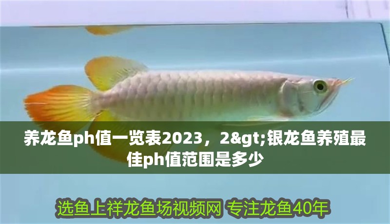 養(yǎng)龍魚ph值一覽表2023，2>銀龍魚養(yǎng)殖最佳ph值范圍是多少