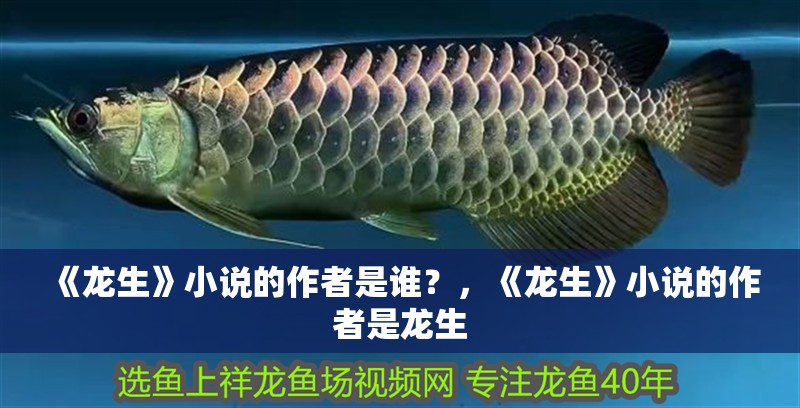 《龍生》小說的作者是誰？，《龍生》小說的作者是龍生