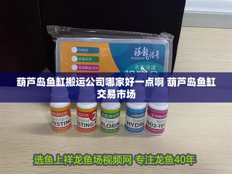 葫蘆島魚缸搬運公司哪家好一點啊 葫蘆島魚缸交易市場