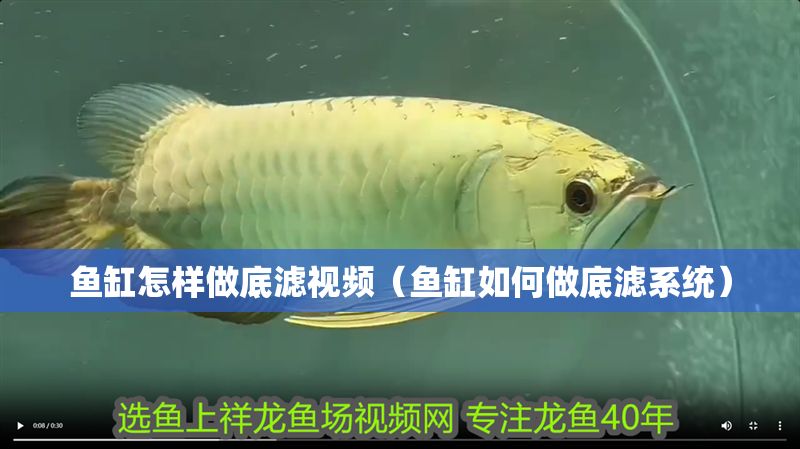 魚缸怎樣做底濾視頻（魚缸如何做底濾系統）
