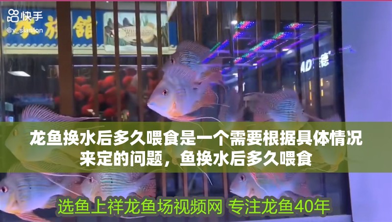 龍魚換水后多久喂食是一個需要根據具體情況來定的問題，魚換水后多久喂食