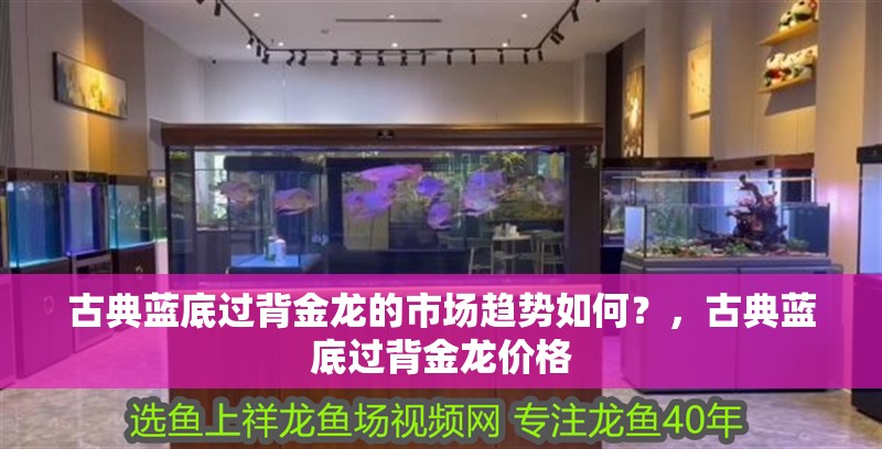 古典藍底過背金龍的市場趨勢如何？，古典藍底過背金龍價格 古典藍底過背金龍的市場趨勢如何？，古典藍底過背金龍價格 龍魚論壇