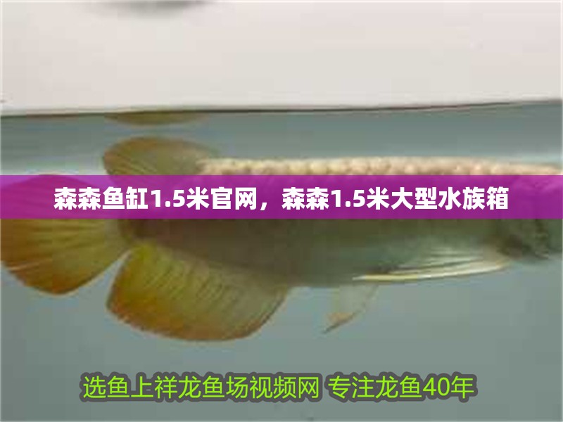 森森魚缸1.5米官網，森森1.5米大型水族箱 森森魚缸1.5米官網，森森1.5米大型水族箱 龍魚論壇