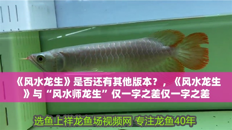 《風(fēng)水龍生》是否還有其他版本？，《風(fēng)水龍生》與“風(fēng)水師龍生”僅一字之差僅一字之差