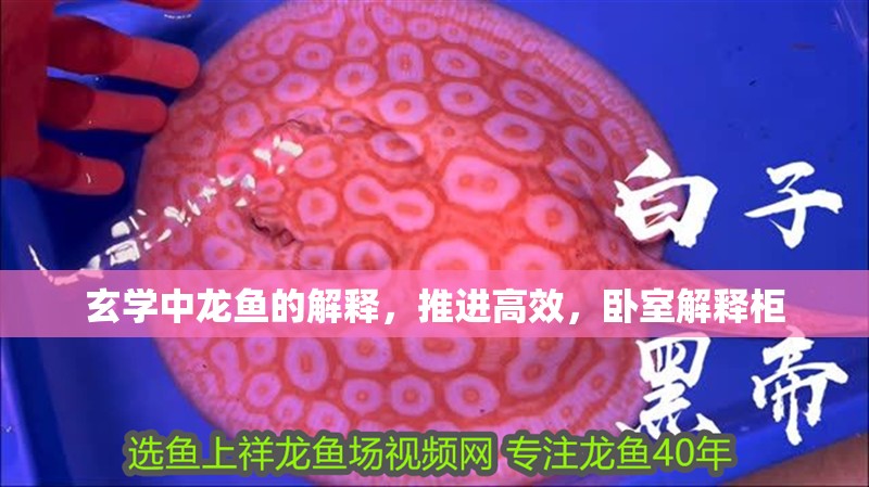 玄學中龍魚的解釋，推進高效，臥室解釋柜 玄學中龍魚的解釋，推進高效，臥室解釋柜 水族問答