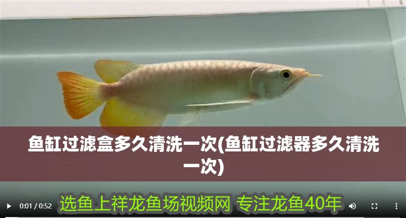 魚(yú)缸過(guò)濾盒多久清洗一次(魚(yú)缸過(guò)濾器多久清洗一次)