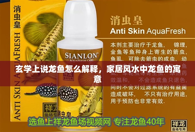 魚缸用增氧泵價格是多少:魚缸增氧機(jī)-xtrac增氧機(jī)-xtrac增氧機(jī) 玄學(xué)上說龍魚怎么解釋,家居風(fēng)水中龍魚的寓意 水族問答 玄學(xué)上說龍魚怎么解釋,家居風(fēng)水中龍魚的寓意 玄學(xué)上說龍魚怎么解釋,家居風(fēng)水中龍魚的寓意 水族問答