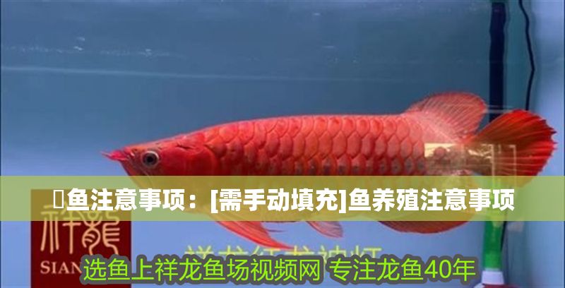 魟魚注意事項：[需手動填充]魚養殖注意事項