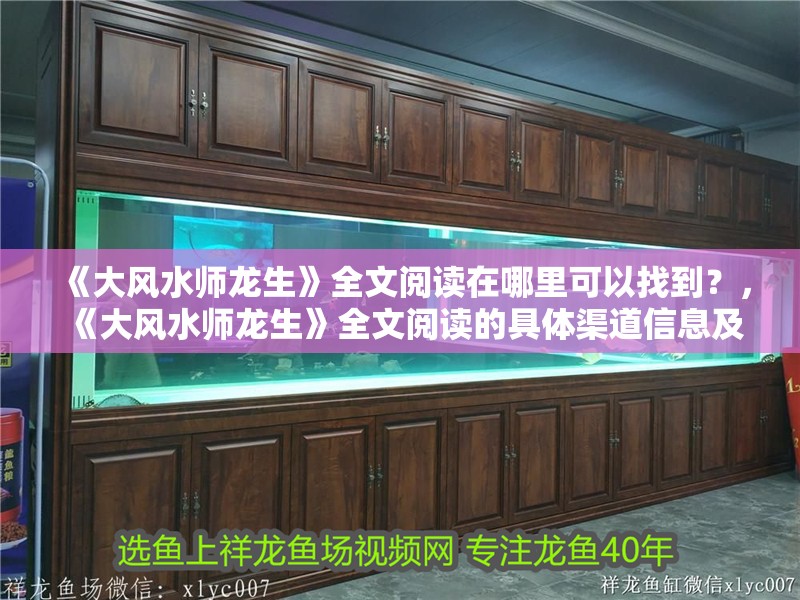 《大風(fēng)水師龍生》全文閱讀在哪里可以找到？，《大風(fēng)水師龍生》全文閱讀的具體渠道信息及相關(guān)信息