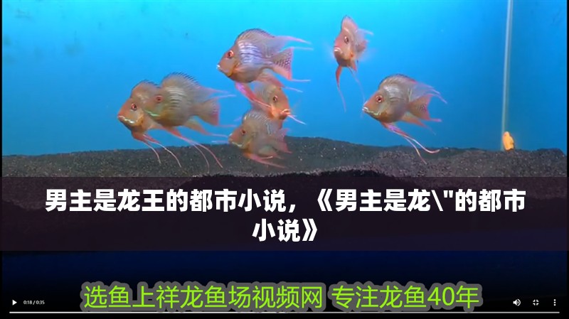男主是龍王的都市小說，《男主是龍\
