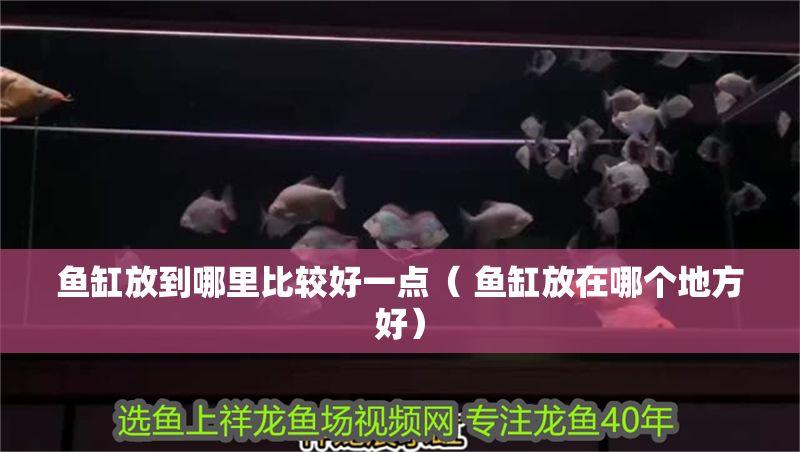 魚缸放到哪里比較好一點（ 魚缸放在哪個地方好）