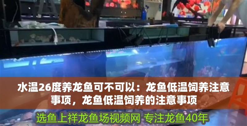 水溫26度養龍魚可不可以：龍魚低溫飼養注意事項，龍魚低溫飼養的注意事項 水溫26度養龍魚可不可以：龍魚低溫飼養注意事項，龍魚低溫飼養的注意事項 龍魚百科