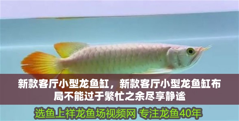 新款客廳小型龍魚缸，新款客廳小型龍魚缸布局不能過于繁忙之余盡享靜謐
