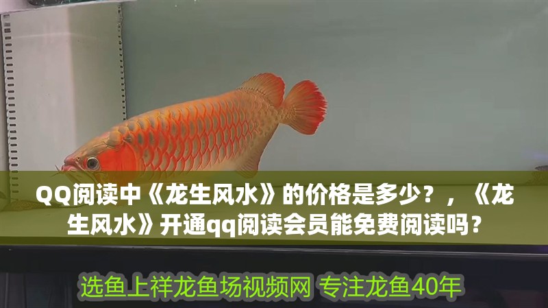 QQ閱讀中《龍生風水》的價格是多少？，《龍生風水》開通qq閱讀會員能免費閱讀嗎？ QQ閱讀中《龍生風水》的價格是多少？，《龍生風水》開通qq閱讀會員能免費閱讀嗎？ 龍魚論壇