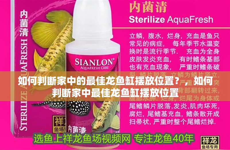 如何判斷家中的最佳龍魚缸擺放位置？，如何判斷家中最佳龍魚缸擺放位置
