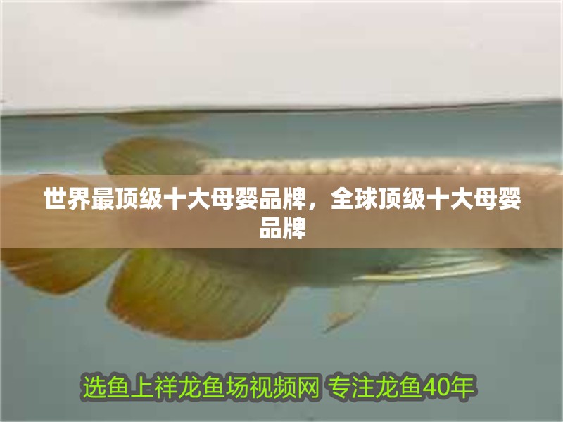 世界最頂級(jí)十大母嬰品牌，全球頂級(jí)十大母嬰品牌