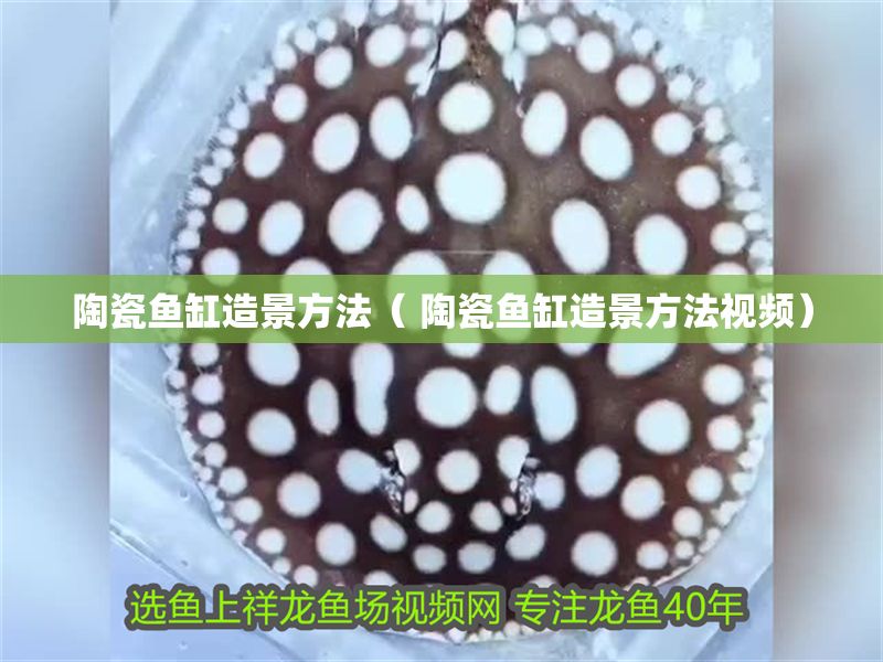 陶瓷魚缸造景方法（ 陶瓷魚缸造景方法視頻）