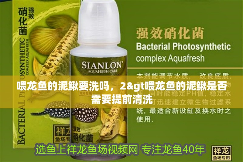 喂龍魚的泥鰍要洗嗎，2&gt喂龍魚的泥鰍是否需要提前清洗 喂龍魚的泥鰍要洗嗎，2&gt喂龍魚的泥鰍是否需要提前清洗 水族問答