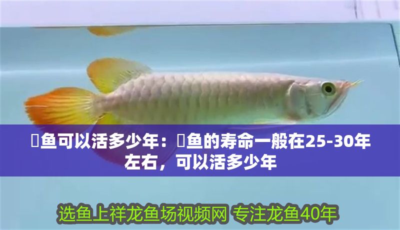 魟魚可以活多少年：魟魚的壽命一般在25-30年左右，可以活多少年