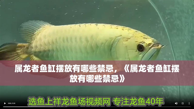 屬龍者魚(yú)缸擺放有哪些禁忌，《屬龍者魚(yú)缸擺放有哪些禁忌》
