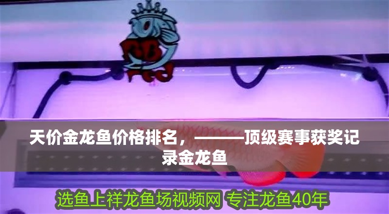天價(jià)金龍魚價(jià)格排名，———頂級(jí)賽事獲獎(jiǎng)記錄金龍魚