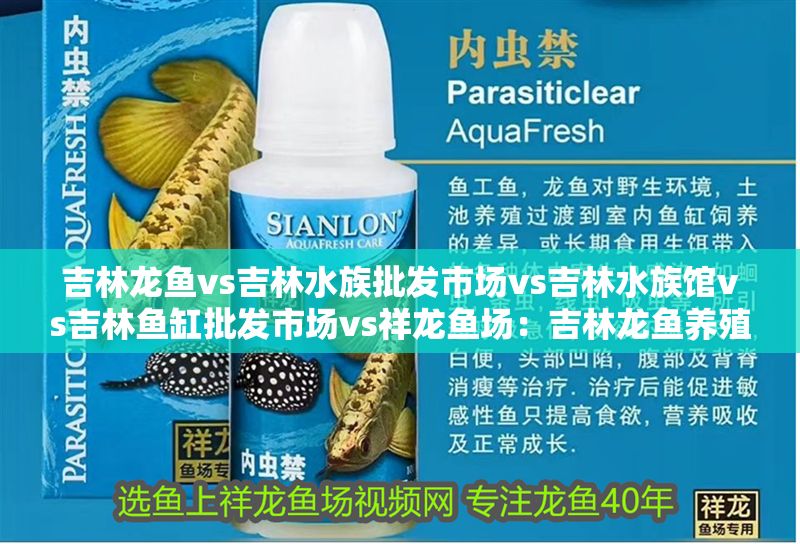 吉林龍魚vs吉林水族批發市場vs吉林水族館vs吉林魚缸批發市場vs祥龍魚場：吉林龍魚養殖業及其相關市場的發展 吉林龍魚vs吉林水族批發市場vs吉林水族館vs吉林魚缸批發市場vs祥龍魚場：吉林龍魚養殖業及其相關市場的發展 祥龍魚場各市分站 第2張