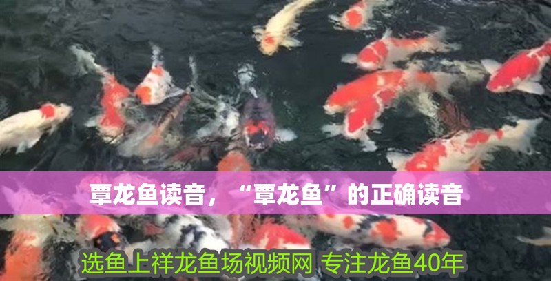 覃龍魚讀音，“覃龍魚”的正確讀音