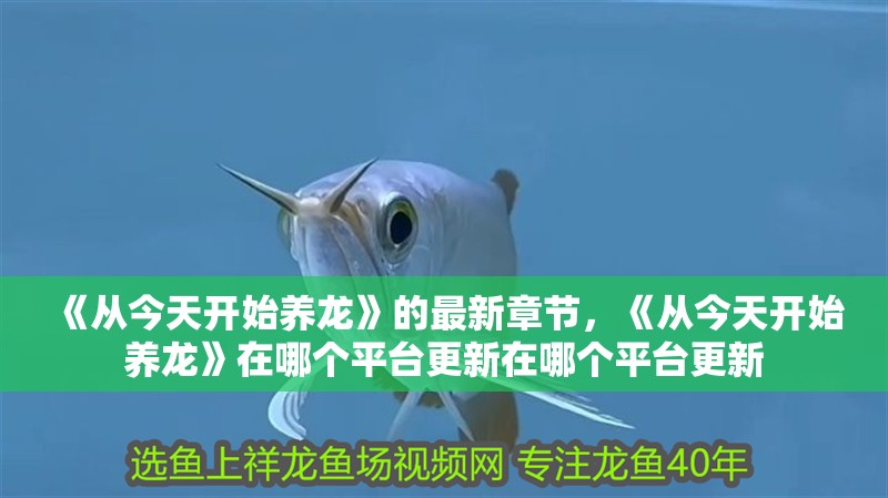 《從今天開始養龍》的最新章節，《從今天開始養龍》在哪個平臺更新在哪個平臺更新