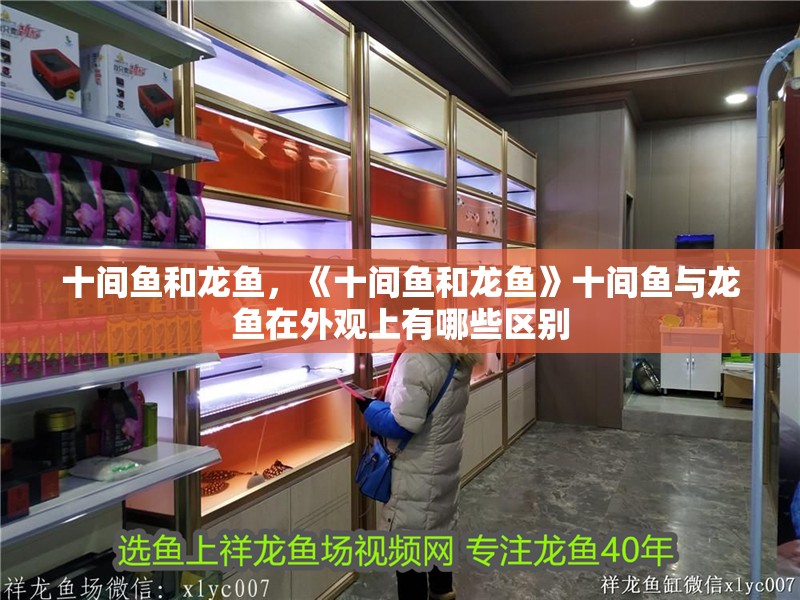 十間魚和龍魚，《十間魚和龍魚》十間魚與龍魚在外觀上有哪些區別 十間魚和龍魚，《十間魚和龍魚》十間魚與龍魚在外觀上有哪些區別 水族問答