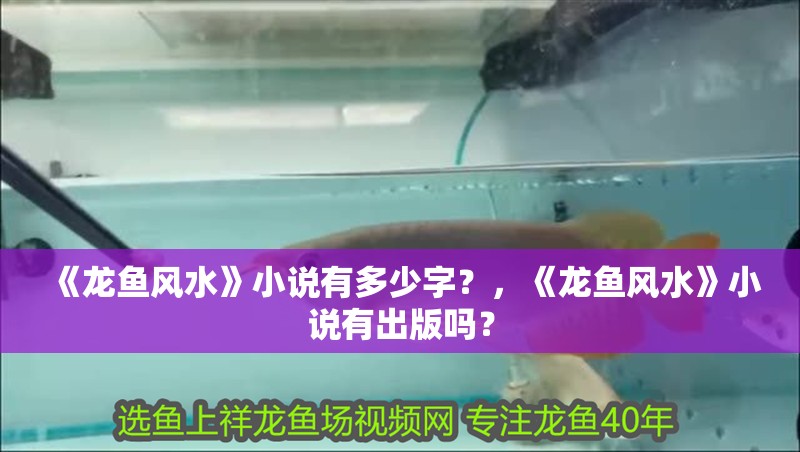 《龍魚風水》小說有多少字？，《龍魚風水》小說有出版嗎？ 《龍魚風水》小說有多少字？，《龍魚風水》小說有出版嗎？ 龍魚論壇