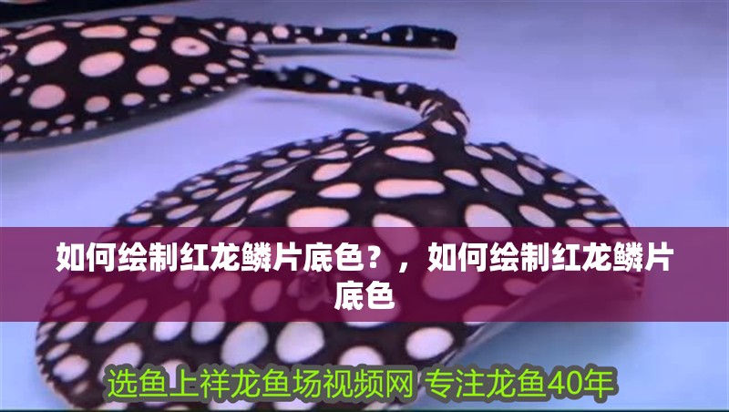 如何繪制紅龍鱗片底色？，如何繪制紅龍鱗片底色