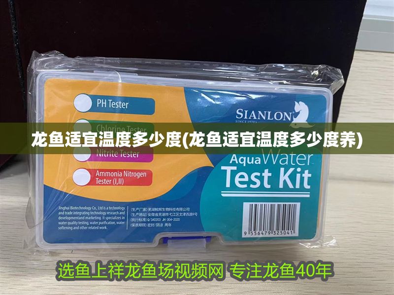 龍魚適宜溫度多少度(龍魚適宜溫度多少度養)