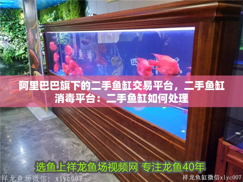 阿里巴巴旗下的二手魚缸交易平臺，二手魚缸消毒平臺：二手魚缸如何處理