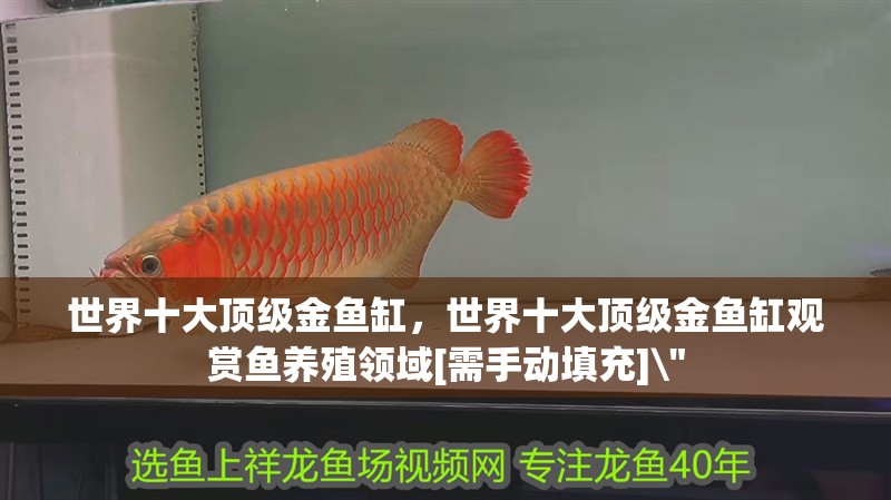 世界十大頂級金魚缸，世界十大頂級金魚缸觀賞魚養殖領域[需手動填充]\