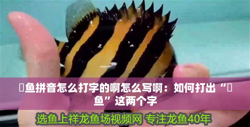 魟魚拼音怎么打字的啊怎么寫啊：如何打出“魟魚”這兩個字 魟魚拼音怎么打字的啊怎么寫啊：如何打出“魟魚”這兩個字 魟魚百科 第2張