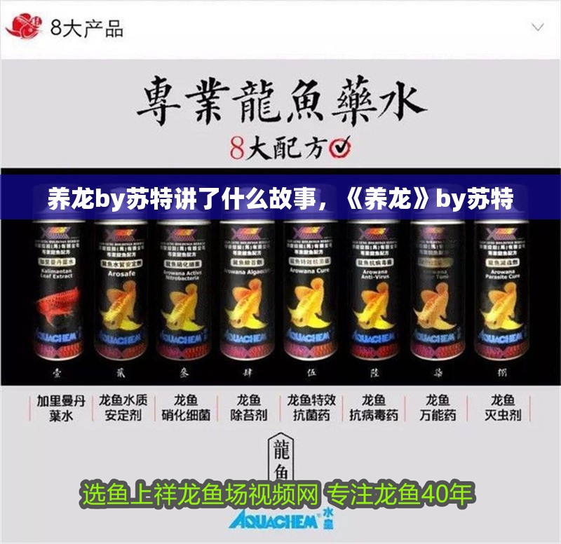 養(yǎng)龍by蘇特講了什么故事，《養(yǎng)龍》by蘇特