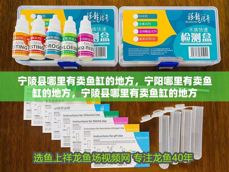 寧陵縣哪里有賣魚缸的地方，寧陽哪里有賣魚缸的地方，寧陵縣哪里有賣魚缸的地方