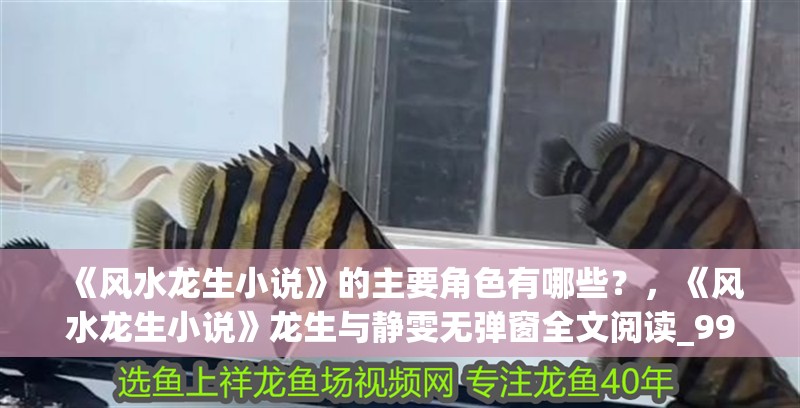 《風水龍生小說》的主要角色有哪些？，《風水龍生小說》龍生與靜雯無彈窗全文閱讀_999