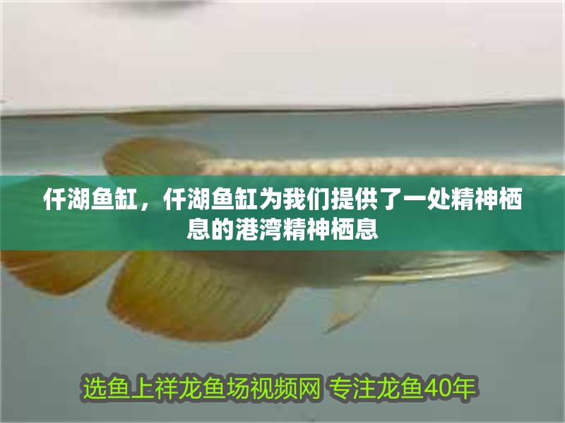 仟湖魚(yú)缸，仟湖魚(yú)缸為我們提供了一處精神棲息的港灣精神棲息