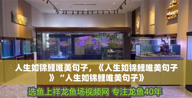 人生如錦鯉唯美句子，《人生如錦鯉唯美句子》“人生如錦鯉唯美句子》