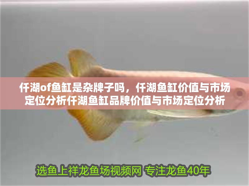 仟湖of魚缸是雜牌子嗎，仟湖魚缸價值與市場定位分析仟湖魚缸品牌價值與市場定位分析