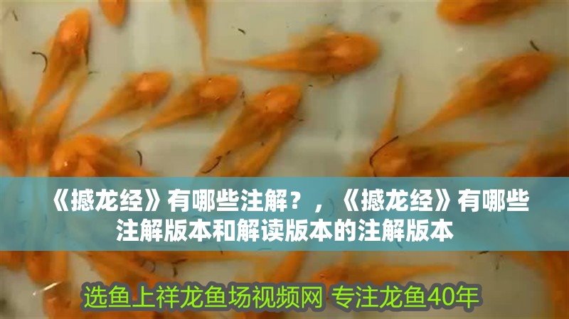 《撼龍經》有哪些注解？，《撼龍經》有哪些注解版本和解讀版本的注解版本