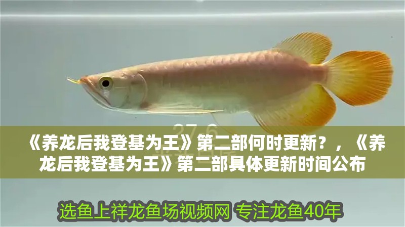 《養(yǎng)龍后我登基為王》第二部何時更新？，《養(yǎng)龍后我登基為王》第二部具體更新時間公布