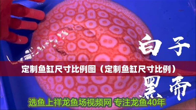 定制魚缸尺寸比例圖（定制魚缸尺寸比例）
