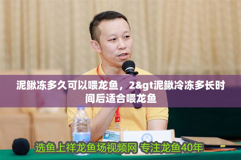 泥鰍凍多久可以喂龍魚，2&gt泥鰍冷凍多長時間后適合喂龍魚 泥鰍凍多久可以喂龍魚，2&gt泥鰍冷凍多長時間后適合喂龍魚 水族問答