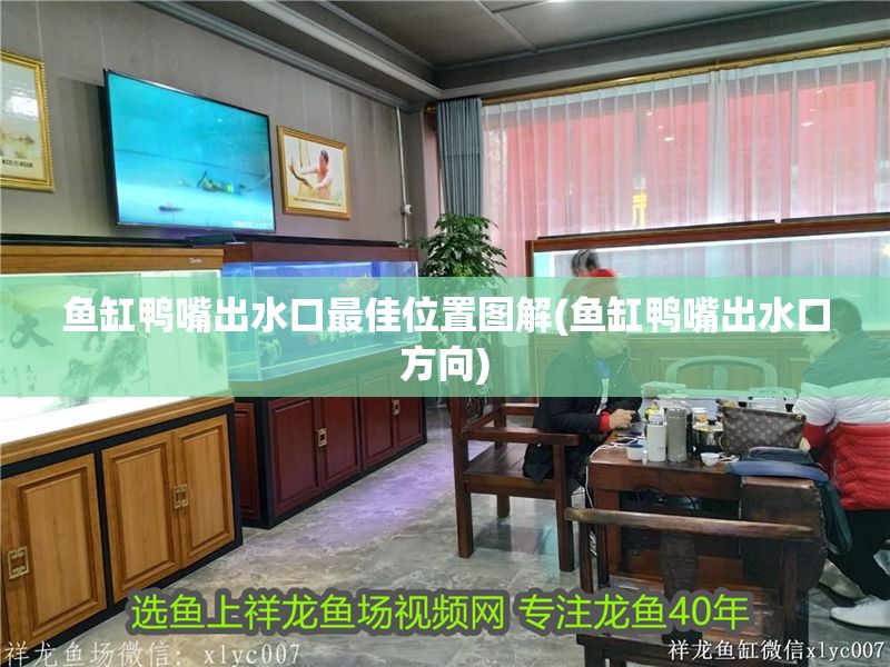 魚缸鴨嘴出水口最佳位置圖解(魚缸鴨嘴出水口方向)